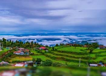 Darjeeling में पर्यटक स्थल: दार्जिलिंग की सुंदर वादियों में सुकून के कुछ पल बिताने का प्रबंध करें