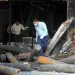 Delhi Hospital Fire Tragedy: ऑक्सीजन सिलेंडर भंडारण के लिए गृह मंत्रालय के दिशा-निर्देशों का उल्लंघन था आग का कारण
