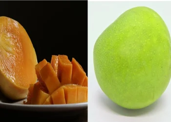गर्मियों में पक्का आम या कच्चा आम क्या है? इसके पोषक तत्वों को जानें