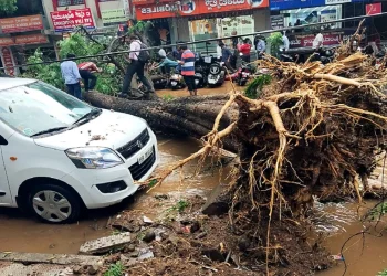 दिल्ली में रात के बाद आया तूफान, 152 पेड़ उखड़े, दो की मौत