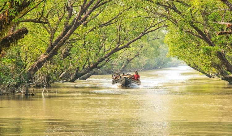 यात्रा सुझाव: पश्चिम बंगाल का सुंदरबन नेचर लवर के लिए सर्वश्रेष्ठ स्थान है: ऐसे योजना बनाएं यात्रा