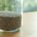 Chia Seeds या Basil Seeds: वजन कंट्रोल के लिए कौन सा सुपरफूड बेहतर है? दोनों ही हाइड्रेशन के लिए बेहतरीन विकल्प हैं।
