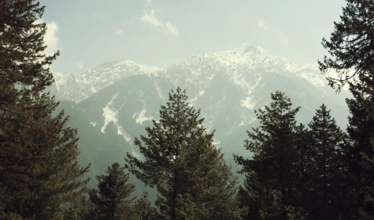 स्विट्जरलैंड का अनुभव भारत में भी लिया जा सकता है! यहां छह ऐसी जगहें हैं जहां आप स्विस वातावरण का मजा ले सकते हैं: