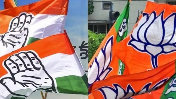 दिल्ली विधानसभा चुनाव से पहले जानें कितनी संपत्ति वाली हैं BJP और कांग्रेस?