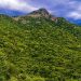 Yercaud Tourist Places: येरकौड, दक्षिण भारत का एक प्रसिद्ध पर्वतीय स्थल है।