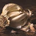 Benefits of Eating Garlic: हाई कोलेस्ट्रॉल को नियंत्रित करने के लिए लहसुन है रामबाण औषधि, मिलेंगे कई स्वास्थ्य लाभ।