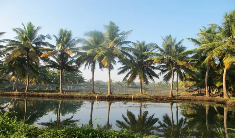 केरल के मुनरो आइलैंड की अद्भुत खूबसूरती देख, प्रकृति प्रेमी हो जाएंगे मंत्रमुग्ध