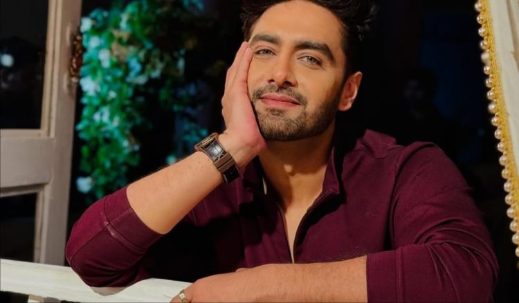‘रोमांस हर बार…,’ राजन शाही के समर्थन में आए रोहित पुरोहित, ट्रोल्स को जमकर सुनाई बात