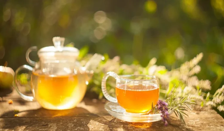 Health Tips: रोजाना इस चाय का सेवन करने से फैटी लिवर के लक्षण होंगे कम, वजन घटाने में भी मिलेगी मदद।