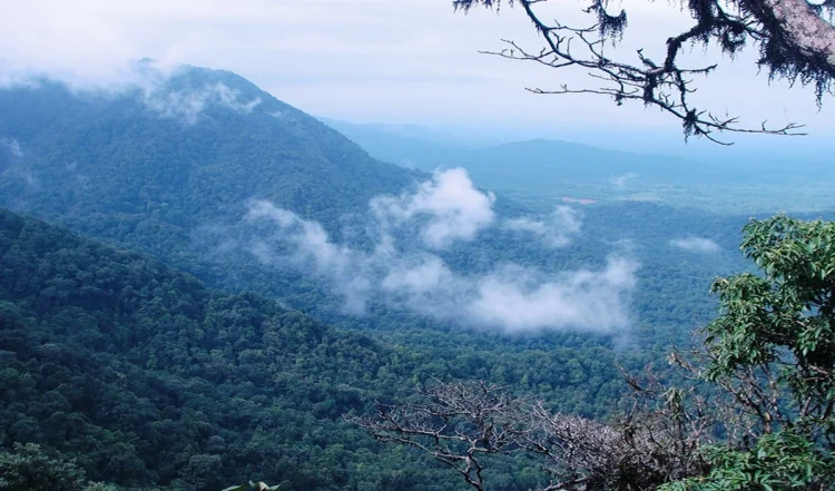 Karnataka Hidden Places: कर्नाटक का यह छुपा हुआ स्थल प्रकृति प्रेमियों के लिए एक स्वर्ग है, जिसे आपको जरूर एक्सप्लोर करना चाहिए।