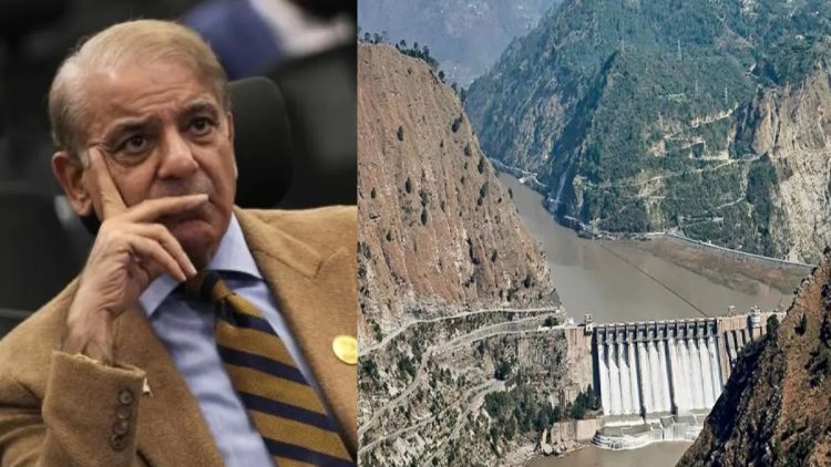 अब मंडरा रहा है सूखे का खतरा, सिंधु जल संधि निलंबन को पाकिस्तानी नेता ने कहा ‘पानी का बम’।