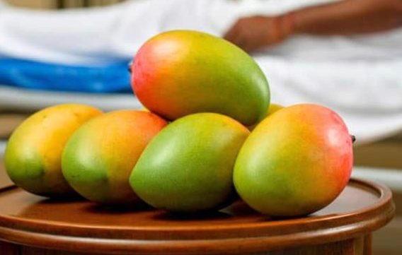 आम का स्वाद बन सकता है बीमारी की वजह, इस जहरीले केमिकल से जा सकती है जान।