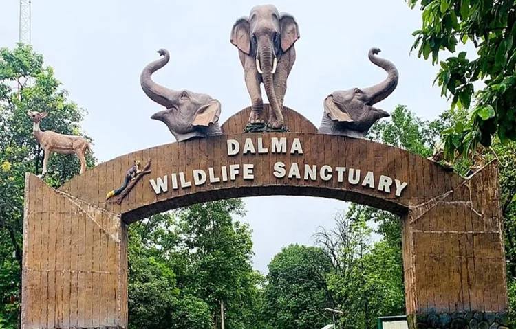 Jharkhand Tourism: दलमा वन्यजीव अभयारण्य है प्रकृति, रोमांच और जैव विविधता का अनोखा मेल।