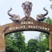 Jharkhand Tourism: दलमा वन्यजीव अभयारण्य है प्रकृति, रोमांच और जैव विविधता का अनोखा मेल।