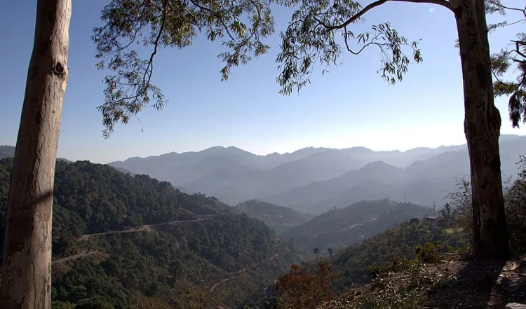 हिमाचल पर्यटन: शांति, प्रकृति की खूबसूरती और औपनिवेशिक धरोहर का अनोखा संगम है कसौली।