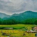 खज्जियार को यूं ही नहीं कहते ”भारत का मिनी स्विट्ज़रलैंड” – जानिए इसकी खासियत।