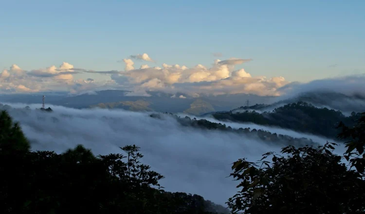 Travel Tips: लैंसडाउन के नजदीक की ये शानदार जगहें हैं घूमने के लिए परफेक्ट, एक बार जरूर करें एक्सप्लोर।
