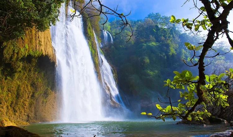 Tallest Waterfalls: दुनिया के इन जादुई झरनों की खूबसूरती देख कर खिल उठेगा आपका दिन, और स्ट्रेस हो जाएगा छूमंतर!