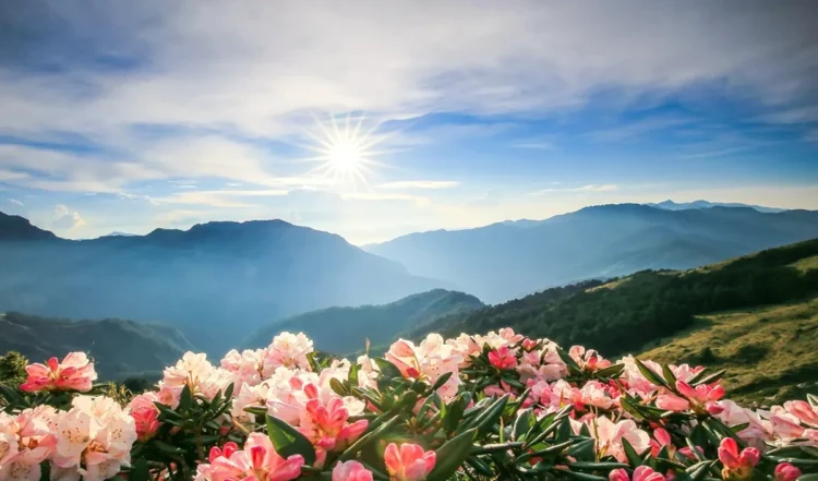 Travel Tips: भीड़ से दूर इन ऑफबीट हिल स्टेशनों पर करें यात्रा की योजना, सुकून भरा समय बिताने के लिए हैं बेहतरीन विकल्प