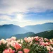 Travel Tips: भीड़ से दूर इन ऑफबीट हिल स्टेशनों पर करें यात्रा की योजना, सुकून भरा समय बिताने के लिए हैं बेहतरीन विकल्प