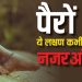 “पैरों में दिखें ये 8 संकेत तो तुरंत डॉक्टर से करें संपर्क, देरी हो सकती है खतरनाक”