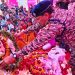 पुलवामा शहीदों को भावभीनी श्रद्धांजलि