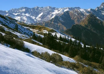 🌄 Chopta – उत्तराखंड का ‘मिनी स्विट्जरलैंड’, Nature Lovers की पहली पसंद क्यों?