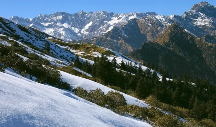 🌄 Chopta – उत्तराखंड का ‘मिनी स्विट्जरलैंड’, Nature Lovers की पहली पसंद क्यों?