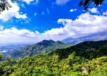 Mount Abu Budget Trip: सिर्फ ₹10,000 में करें पूरा ट्रैवल प्लान, एक्स्ट्रा खर्च की नहीं पड़ेगी जरूरत