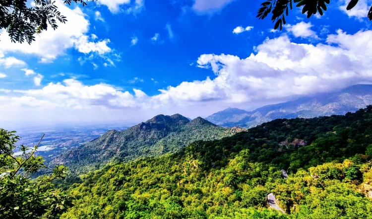 Mount Abu Budget Trip: सिर्फ ₹10,000 में करें पूरा ट्रैवल प्लान, एक्स्ट्रा खर्च की नहीं पड़ेगी जरूरत