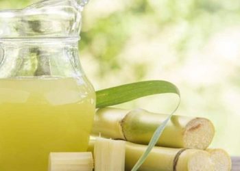 गर्मी में गन्ने का जूस कितना सुरक्षित? फायदे के साथ छिपे खतरे भी जान लें