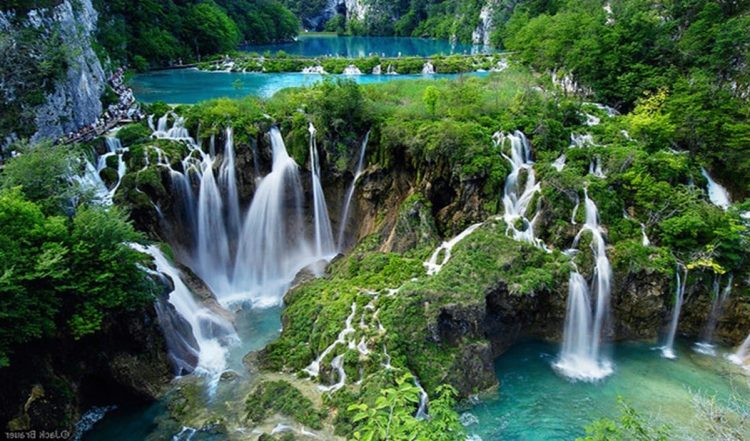 Travel Tips: मसूरी नहीं, किमाड़ी गांव जाएं, मिलेगा सुकून और एडवेंचर का असली अनुभव