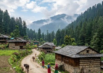 गर्मी से राहत चाहिए? हिमाचल की ‘जिभी’ में मिलेगा थाईलैंड जैसा Vibe, कम बजट में बनाएं यादगार ट्रिप