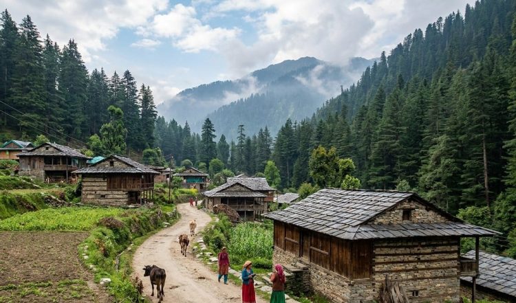 गर्मी से राहत चाहिए? हिमाचल की ‘जिभी’ में मिलेगा थाईलैंड जैसा Vibe, कम बजट में बनाएं यादगार ट्रिप