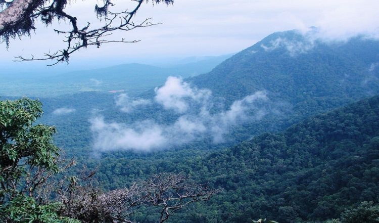 गर्मी से बचना है तो घूम आइए South India के ये शानदार Hill Stations