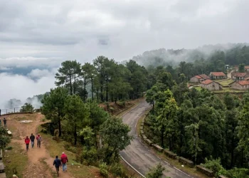 झारखंड का नेतरहाट: मनमोहक सूर्योदय-सूर्यास्त और प्राकृतिक खूबसूरती से भरपूर हिल स्टेशन