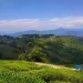 Travel Tips: दार्जिलिंग से सुंदरबन तक, पश्चिम बंगाल की ये 5 जगहें बना देंगी आपकी यात्रा यादगार
