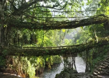 Monsoon Travel: बारिश में सुकून चाहिए तो Meghalaya और Arunachal के इन गांवों का करें रुख
