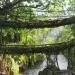 Monsoon Travel: बारिश में सुकून चाहिए तो Meghalaya और Arunachal के इन गांवों का करें रुख