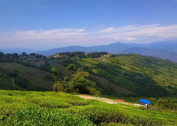 Monsoon Travel Tips: बारिश में घूमने का बना रहे हैं प्लान? लैंडस्लाइड के कम खतरे वाले ये 4 हिल स्टेशन हैं बेहतरीन विकल्प