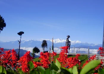 Travel Tips: Switzerland जैसा नजारा चाहिए? भारत की ये 4 जगहें कम बजट में देंगी यूरोप वाली फील
