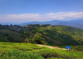 Travel Tips: मानसून में स्वर्ग से कम नहीं लगतीं ये जगहें, मुन्नार से कूर्ग तक करें घूमने का प्लान