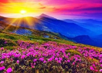 Valley of Flowers Travel Tips: अगस्त-सितंबर में बनाएं फूलों की घाटी घूमने का प्लान, जानें किराया और पूरा Itinerary