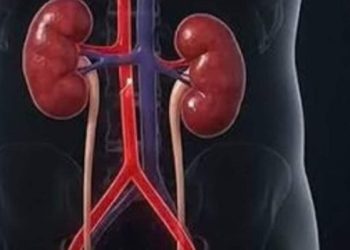 क्रिएटिनिन बढ़ना किडनी की परेशानी का संकेत, ऐसे रखें इसका स्तर कंट्रोल