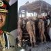 BLA-TTP के हमलों से बढ़ा पाकिस्तान की सेना पर दबाव, रिटायर्ड जवानों को लौटने का निर्देश