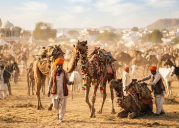 Winter Travel Calendar: पुष्कर मेले से पतंग महोत्सव तक, सर्दियों में घूमने के 4 खास मौके