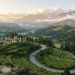 Travel Tips: अरुणाचल प्रदेश के तवांग और सेला पास की खूबसूरती बना देगी आपकी यात्रा यादगार